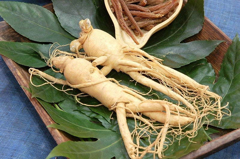 Panax Ginseng